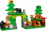 Lego Duplo Лісовий заповідник 10584, фото 4