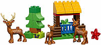 Lego Duplo Лісовий заповідник 10584, фото 5