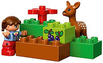 Lego Duplo Лісовий парк 10584, фото 9