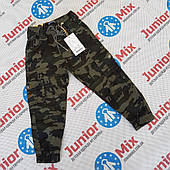 Дитячі штани для хлопчиків оптом SEAGULL