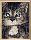 Алмазна вишивка блакитно-очіковий котик 20х25 см, повна викладка, квадратні стрази, фото 2