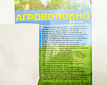 Агроволокно біле. 30 г/м2 4.20 х 100 м. Для укриття від заморозків. UV 4-%. "Shadow". Чехия, фото 5