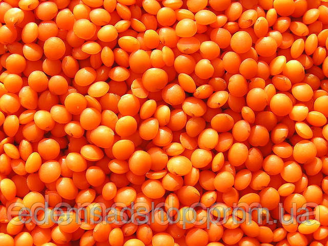 Сочевиця турецька червона найвищий сорт, 500 г