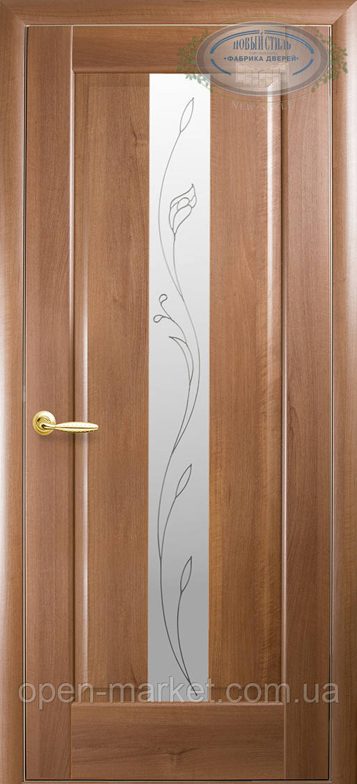 Модель Прем'єра скло Р2 міжкімнатні двері, Ніколаїв