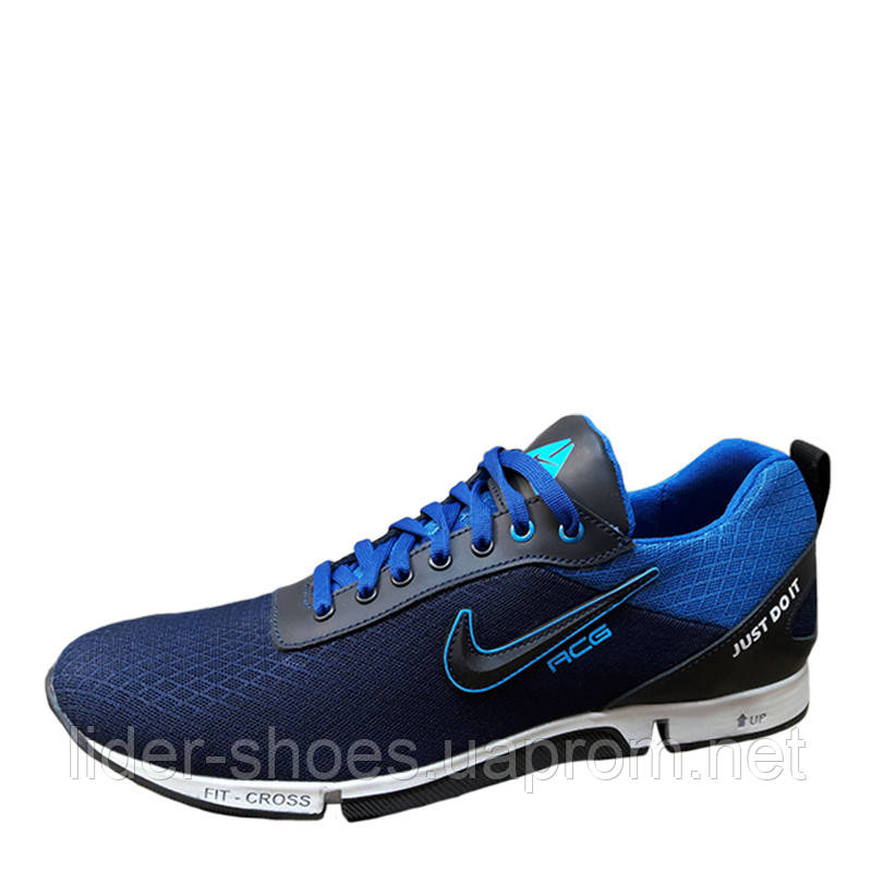 Кросівки чоловічі в стилі Nike сині