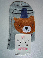 Шкарпетки жіночі демісезонні з вушками ведмедик 36-41 Наталі