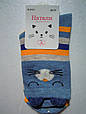 Шкарпетки жіночі демісезонні з вушками сплячий котик 36-41 Наталі, фото 3