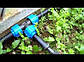 Стрічка для крапельного поливу щілинна Garden tools 200 мм (200 м), фото 9