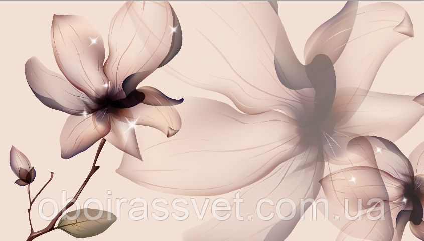 Фотошляхи вінілові на флізеліновій основі, що миють