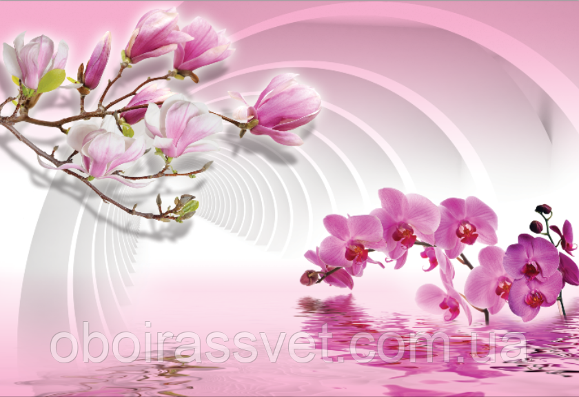 Фотошляхи вінілові на флізеліновій основі, що миють