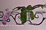 Підставка для квітів на 15 чаш "Мадагаскар-1", фото 6