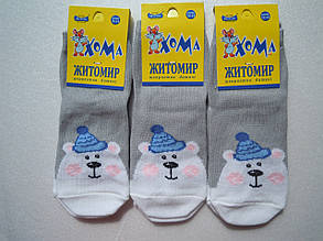 Шкарпетки Дитячі бавовняні з ведмедиками Сірі розмір 12-14