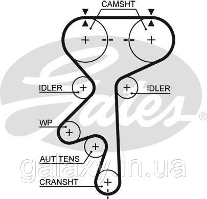 Ремень ГРМ зубчатый Opel Omega B, Daewoo Leganza 2,2 DOHC 16V 1995- Z=171