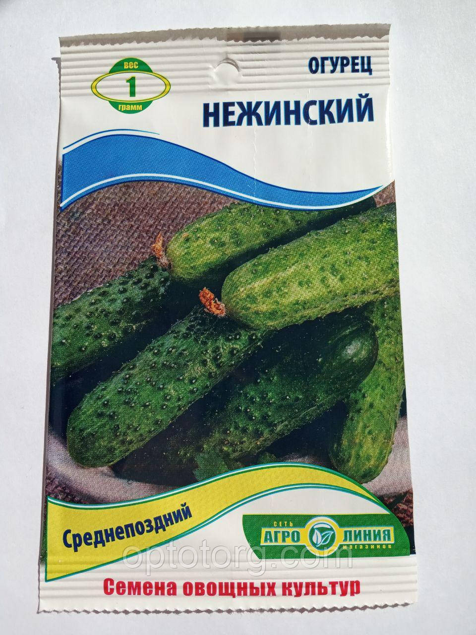 Насіння огірків Ніжиський 1 г, фото 1