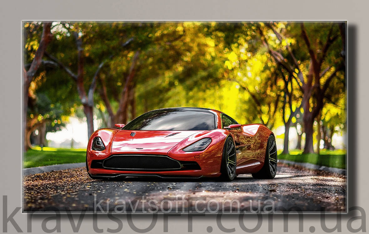 Картина на холсте "Sport-car 2" ( 55х91 см )