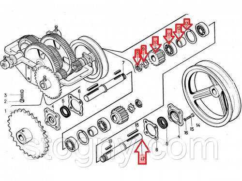 Вал ЗП 07.602 у складі ( шестірня + підшипник), фото 2