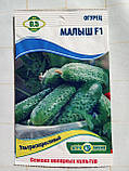 Насіння огірків Малюк F1 3 гр, фото 3