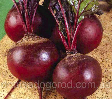 Свекла ДЕТРОЙТ 5 грам