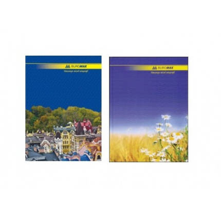 Канцелярська книга А4 BUROMAX 2401 тв. обкл. 96арк. ЛІНІЯ оф. (1/8), фото 1