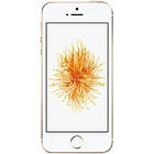 Apple iPhone SE 32GB Gold Refurbished, фото 3