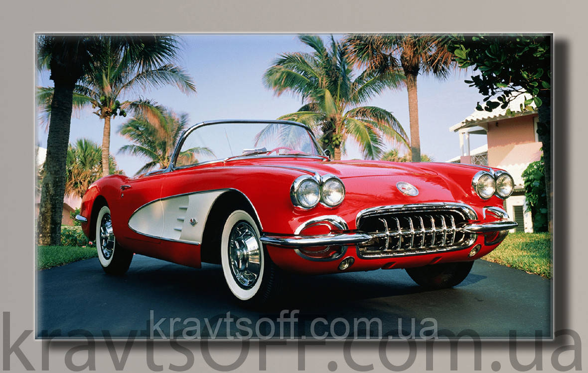 Картина на полотні "ChevroletCorvette" ( 55х91 см )