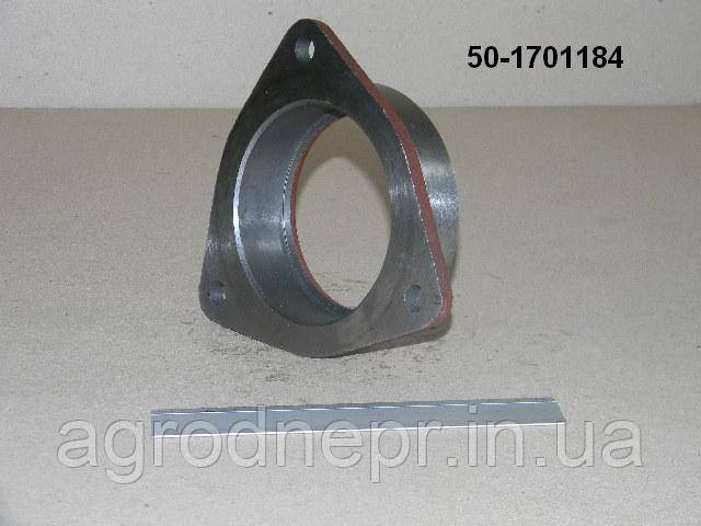 Гніздо 50-1701184, фото 1