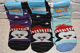 Дитячі шкарпетки, махра, р.16-18