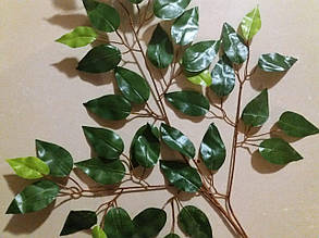Гілки фікуса зелений лист 7 см