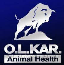 Винищувач мишей і щурів (зелений), 4кг, фото 1