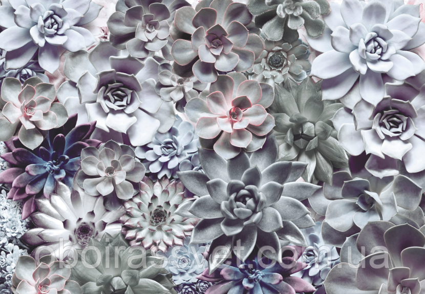 Фотошляхи вінілові на флізеліновій основі, що миють