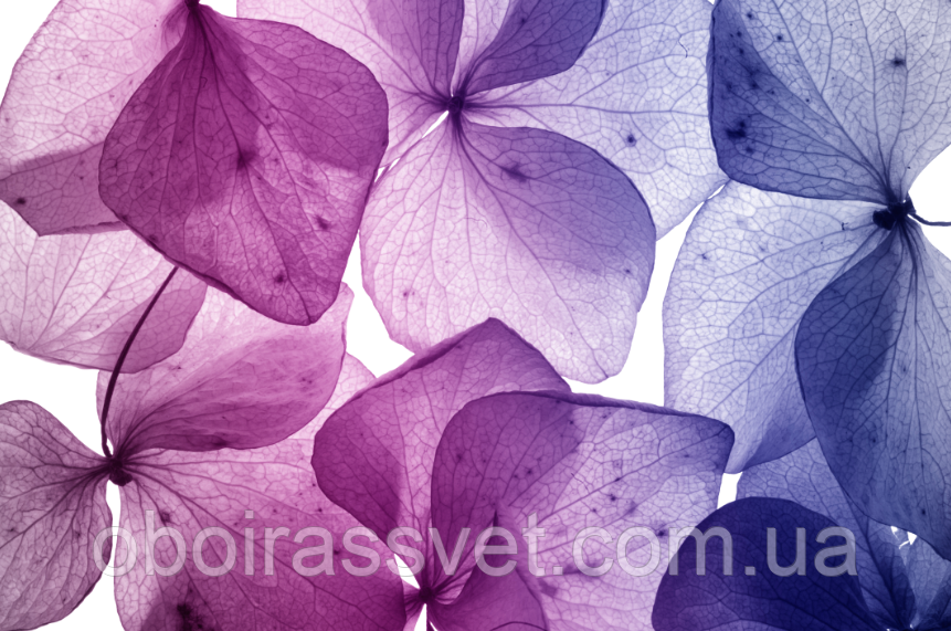 Фотошляхи вінілові на флізеліновій основі, що миють