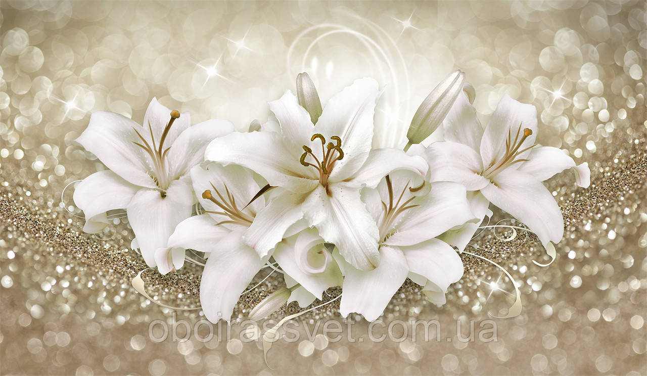 Фотошляхи вінілові на флізеліновій основі, що миють