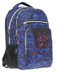 Рюкзак молодежный Safari 19-120L-5 ортопедический