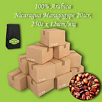 Кофе зерновой Arabica Nicaragua Maragogupe 20scr 250г. (12 шт/ящ)