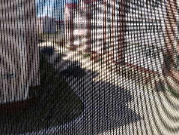 Москітна сітка Антипиль ціна. Антипильця, фото 1