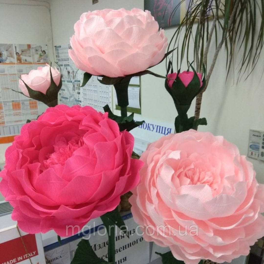 Ростові квіти. Композиція з 5 півоній