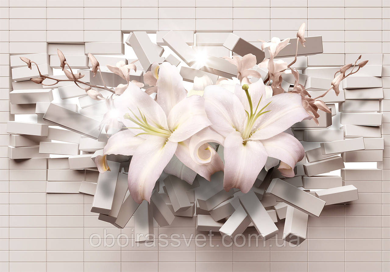 Фотошляхи вінілові на флізеліновій основі, що миють