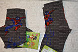 Шкарпетки дитячі, Демісезон, р.18, 5-6 років, фото 4