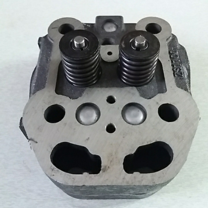 Голівка блоку у зборі дизельного двигуна ZS/ZH1100, фото 1