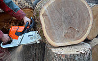 Пілім дерева, обрізаємо сад, розчищення чагарників у Харкові та області