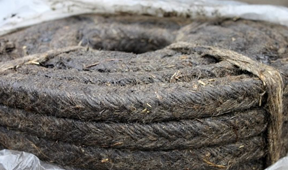 ЛП-31 луб'яна