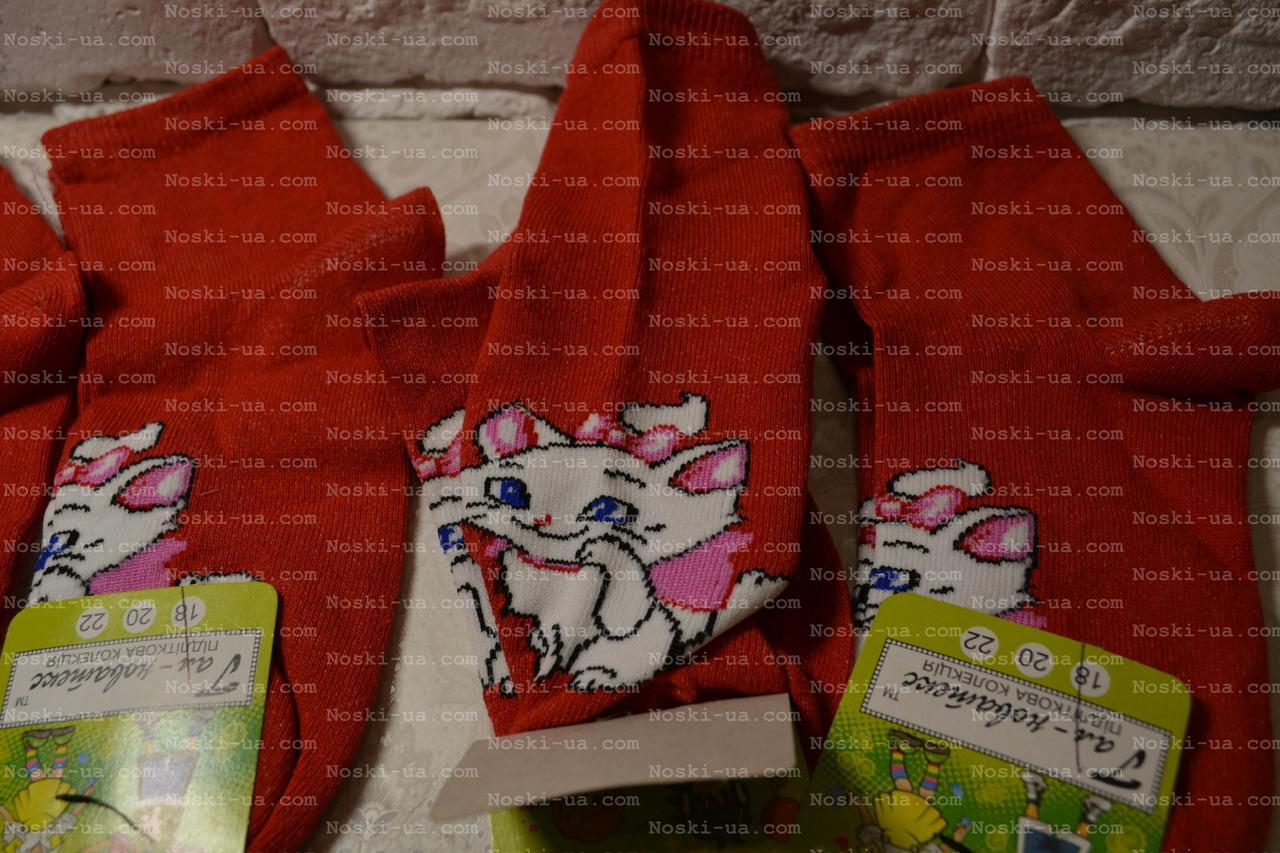 Шкарпетки дитячі, Демісезон, р.18, 5-6 років, фото 1