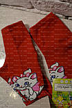 Шкарпетки дитячі, Демісезон, р.18, 5-6 років, фото 3