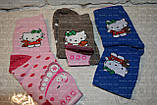 Дитячі шкарпетки, р.16, Кітті, Демісезон, 3-4года, фото 2