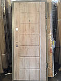 Двері вхідні в будинок еліт_2073, фото 2