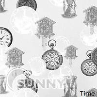 Рулонные шторы для ОКОн в закрытой системе Sunny с плоскими направляющими - ПЛАСТИК, ткань Time
