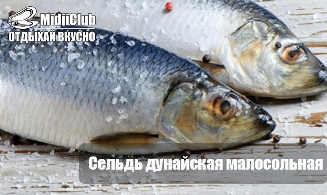 Оселедець дунайський, малосолочка, потрошений 4-5 шт на 1кг - фото 1 - id-p938444959