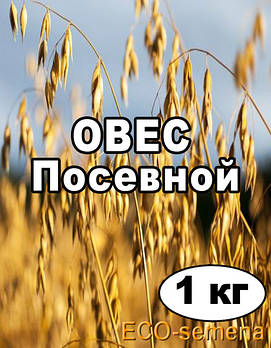 ОВЕС