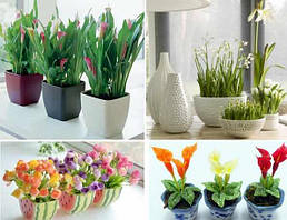 Горщики, вазони і вази для квітів