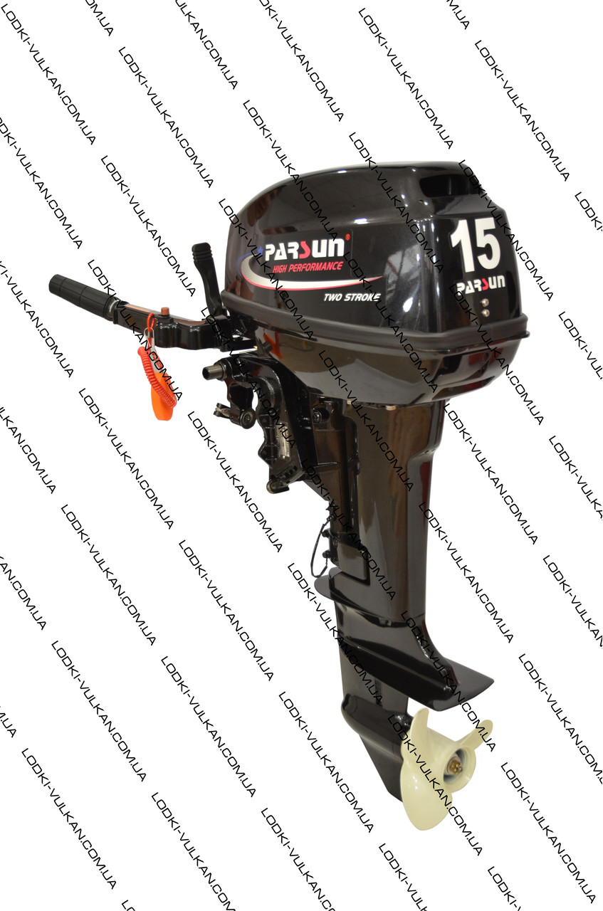 Двохтактний мотор PARSUN T15 BMS, фото 1